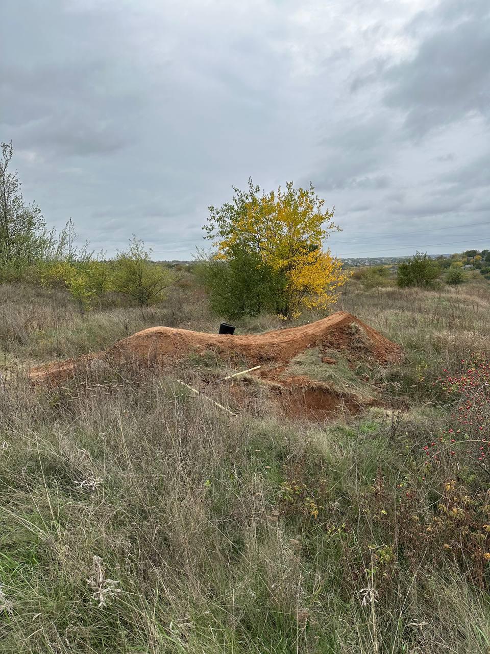 Свіжа кочка восени